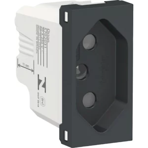 Módulo de Tomada 2p+t 20a 250v - Schneider Electric