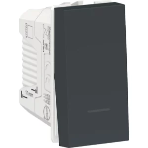 Módulo Interruptor Paralelo 10a 250v - Schneider Electric